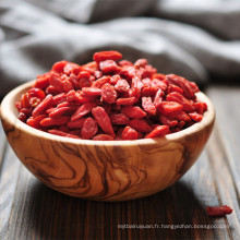 Baies de goji bio avec zéro pesticide / wolfberry chinois à faible teneur en sucre à Ningxia